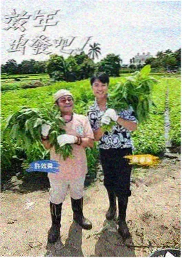 慢生活实验室综艺海报